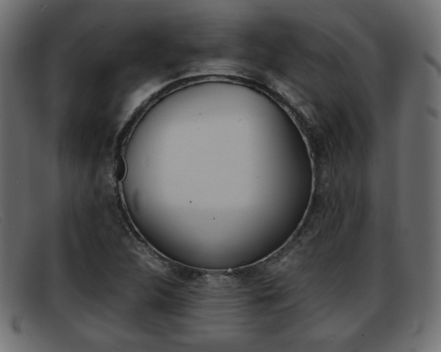 X0000093391312200710111340