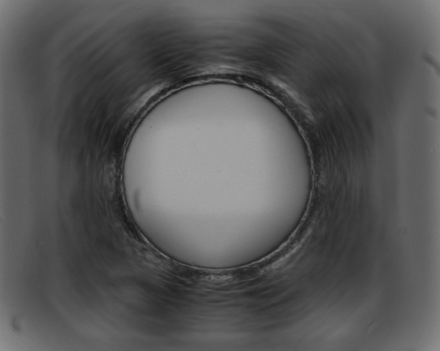 X0000093391313200710111340