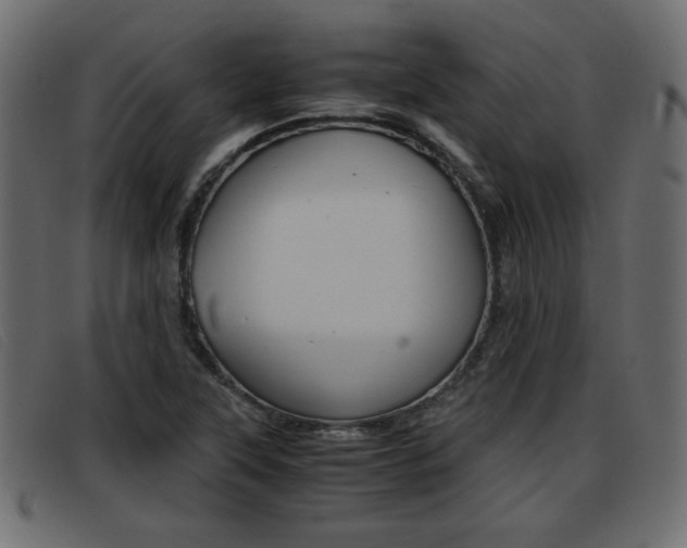 X0000093391315200710111340