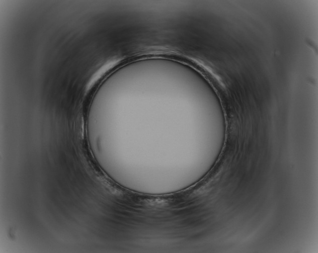 X0000093391317200710111340