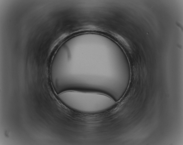 X0000093391318200710111340