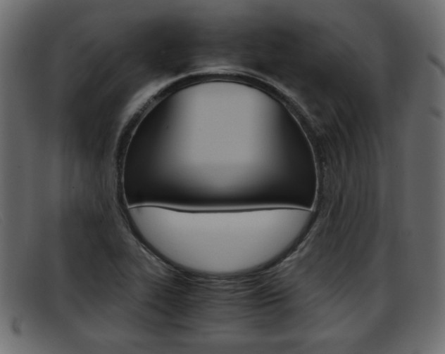 X0000093391319200710111340