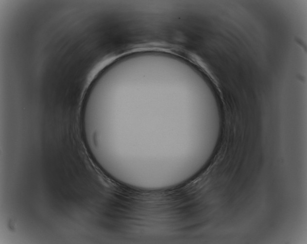 X0000093391320200710111340