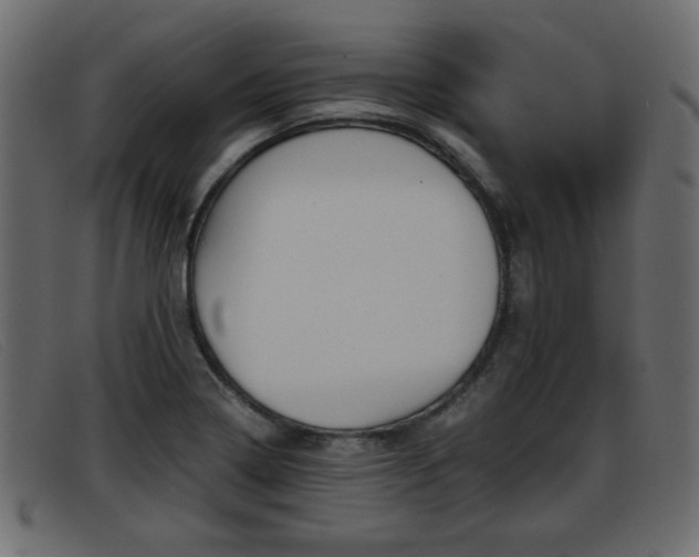 X0000093391322200710111340