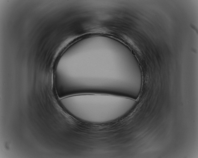 X0000093391323200710111341
