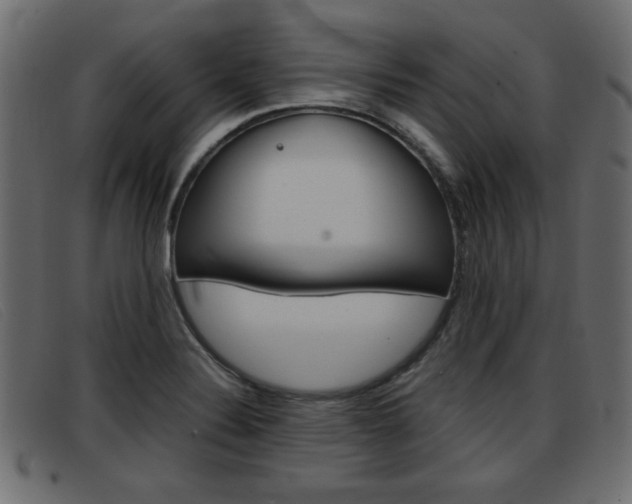 X0000093391324200710111341