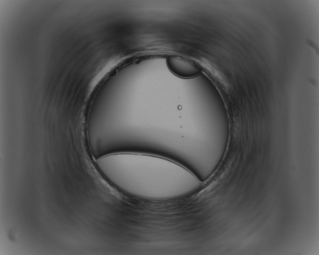 X0000093391325200710111341