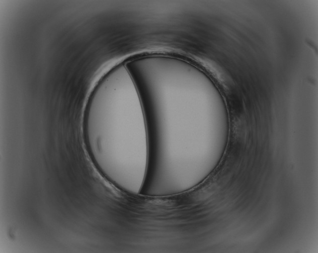 X0000093391327200710111341