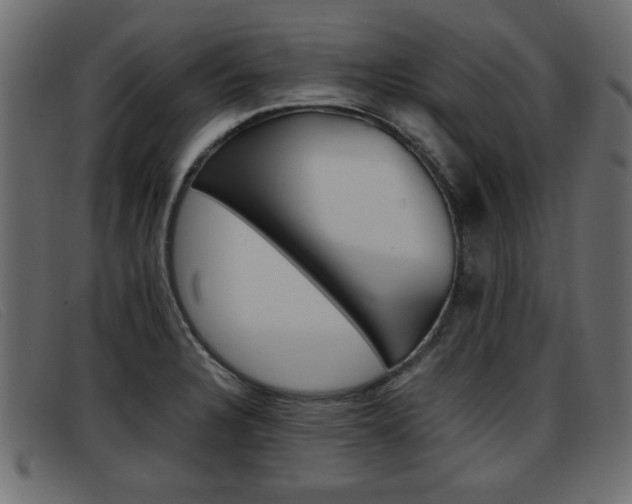 X0000093391328200710111341