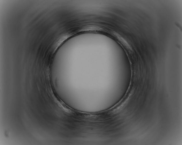 X0000093391329200710111341