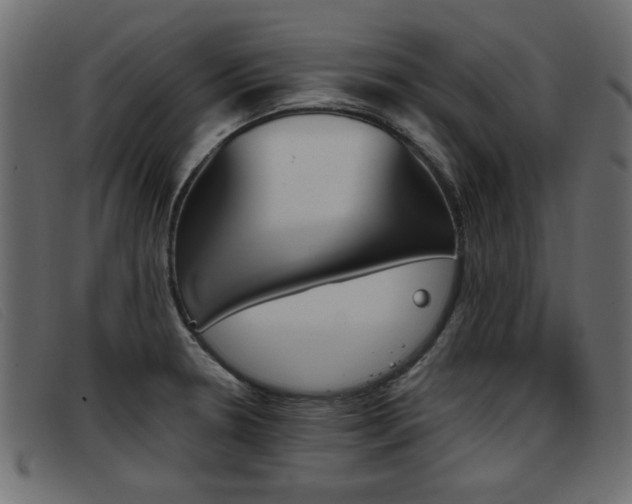 X0000093391330200710111341