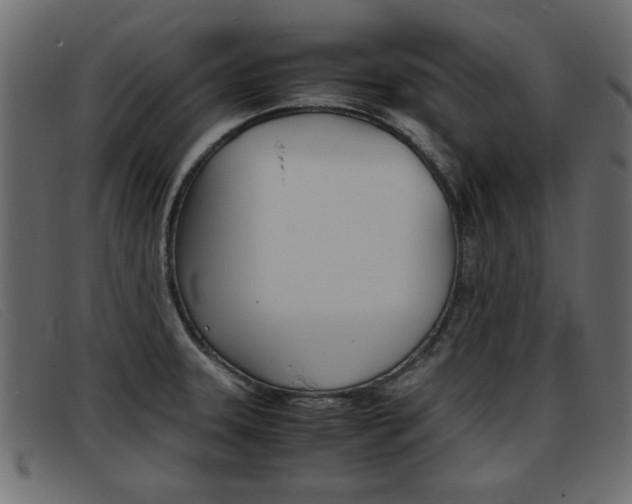 X0000093391331200710111341