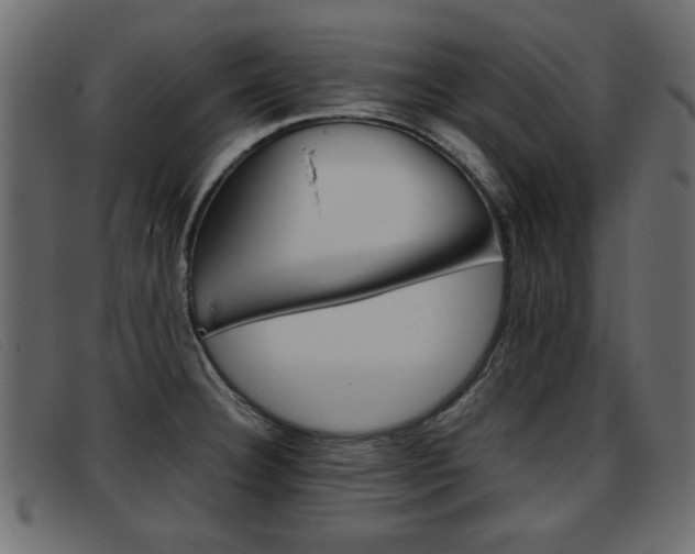X0000093391332200710111341