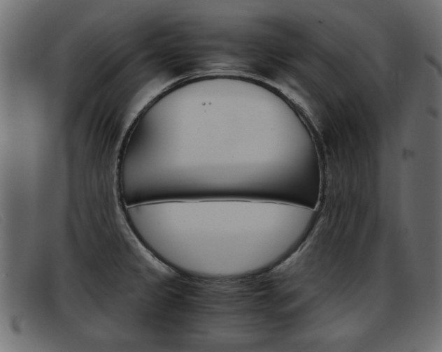 X0000093391333200710111341