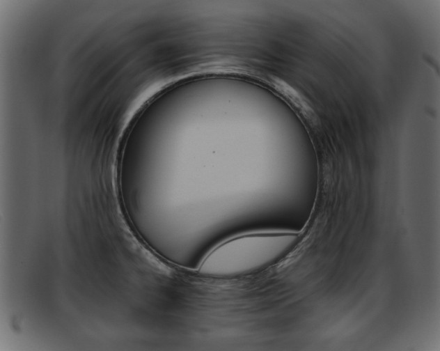 X0000093391334200710111341
