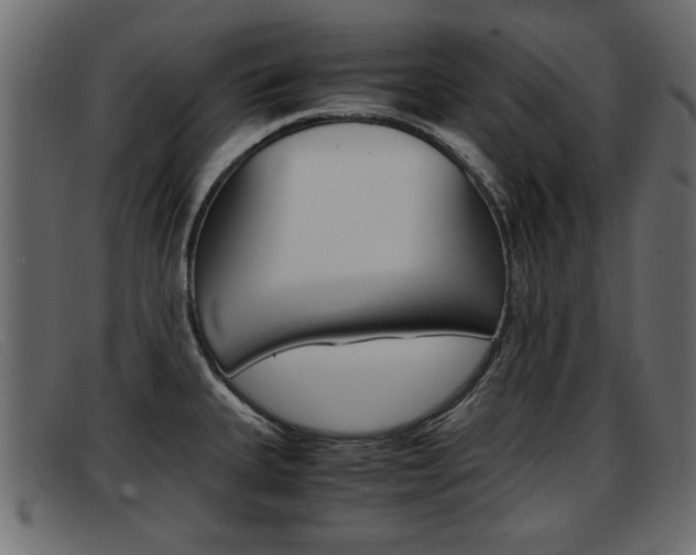 X0000093391335200710111341