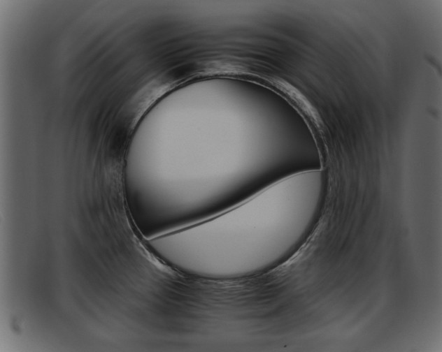 X0000093391337200710111341