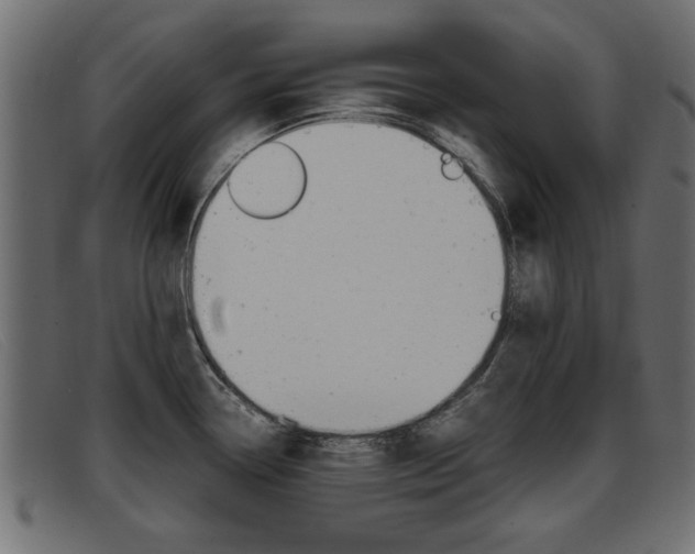 X0000093391338200710111341