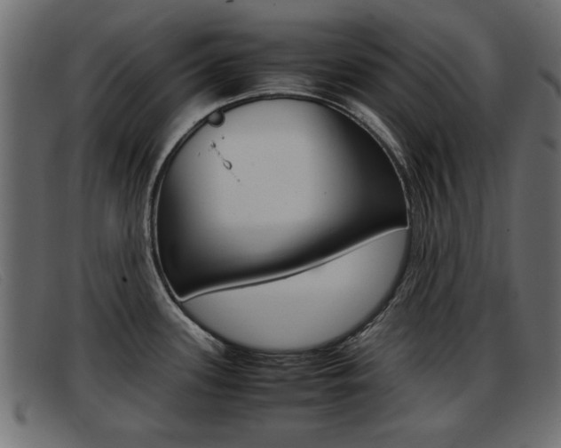 X0000093391339200710111341