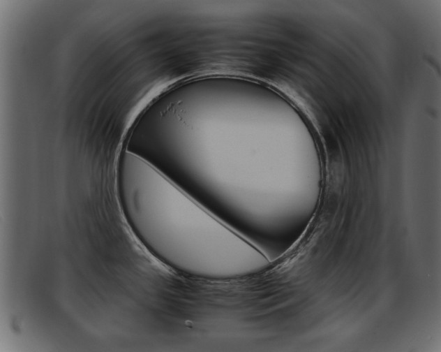X0000093391341200710111341