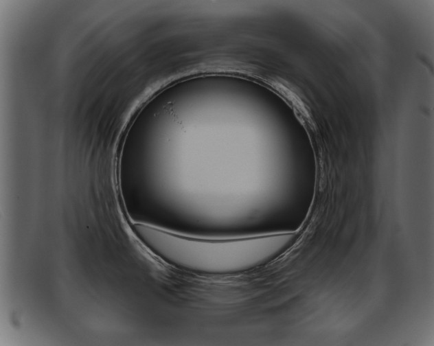 X0000093391342200710111341