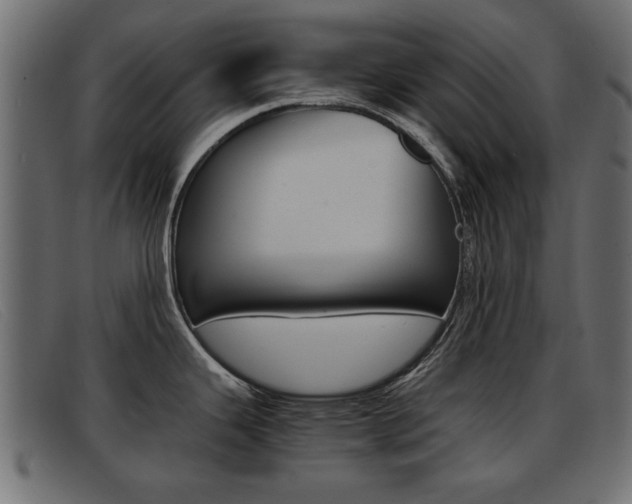 X0000093391343200710111341