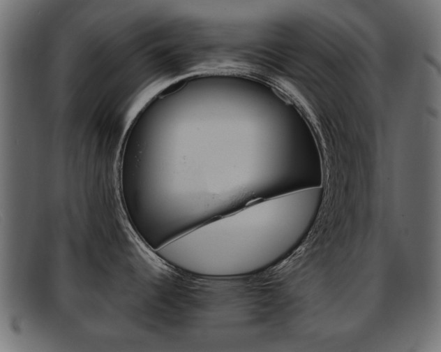 X0000093391344200710111341