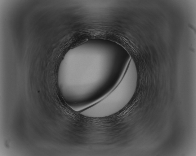 X0000093391345200710111340