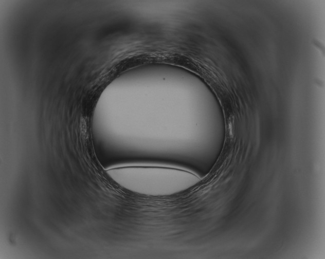 X0000093391347200710111340