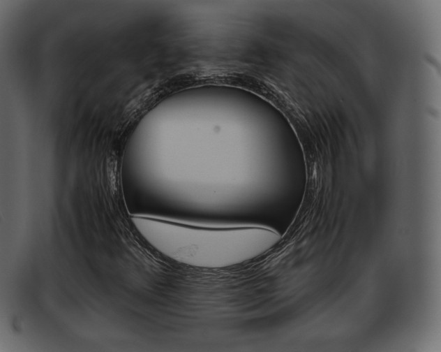 X0000093391348200710111340