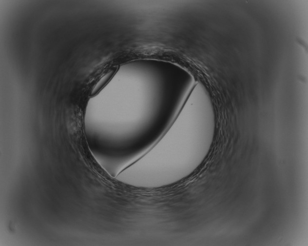 X0000093391349200710111340