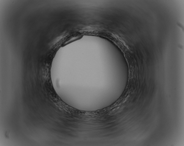 X0000093391350200710111340