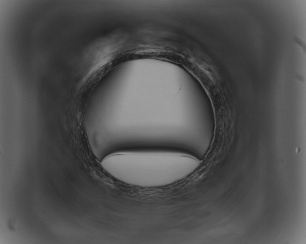 X0000093391351200710111340