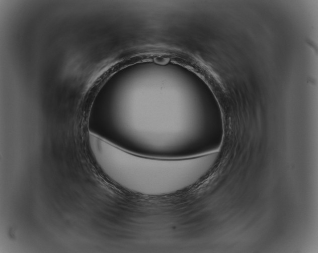 X0000093391352200710111340