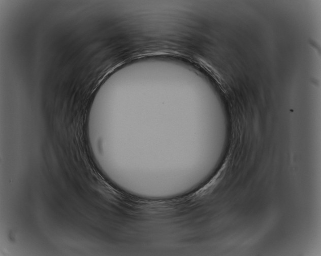 X0000093391353200710111340