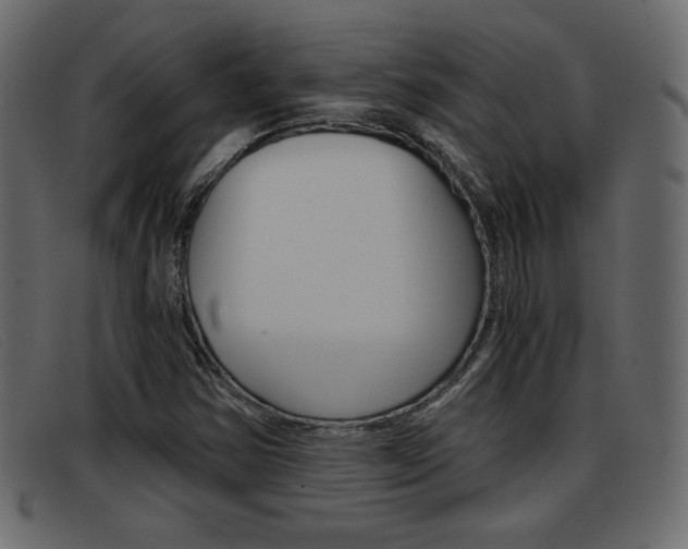 X0000093391354200710111340
