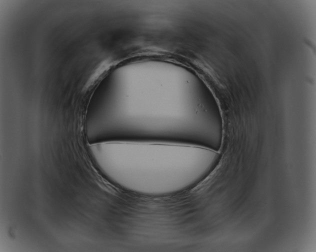 X0000093391355200710111340