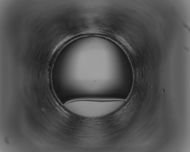 X0000093391356200710111340