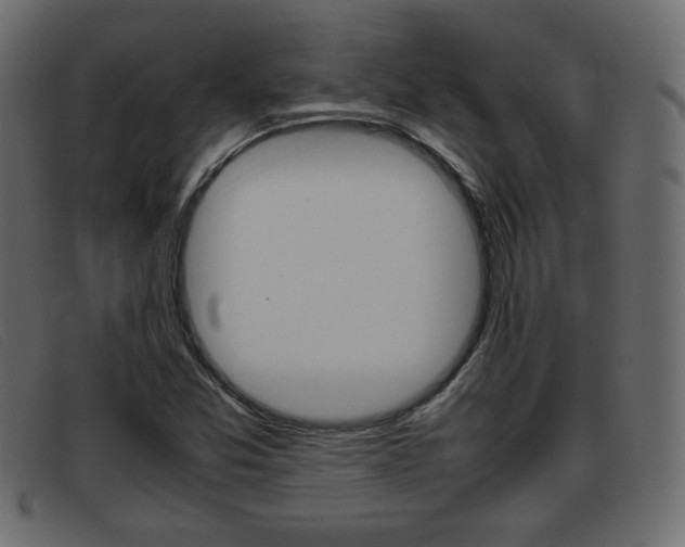 X0000093391357200710111340