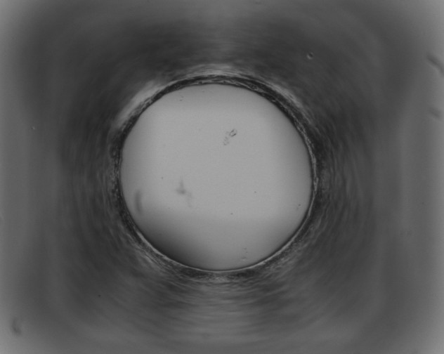 X0000093391359200710111340