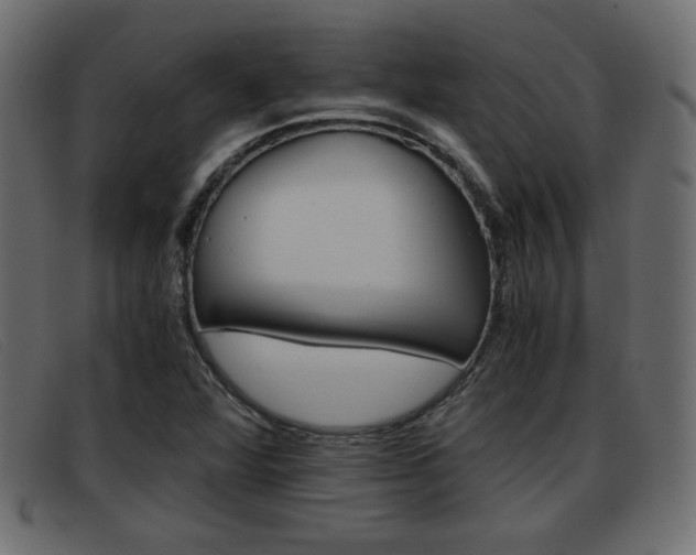 X0000093391360200710111340