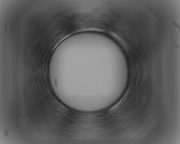 X0000093391361200710111340
