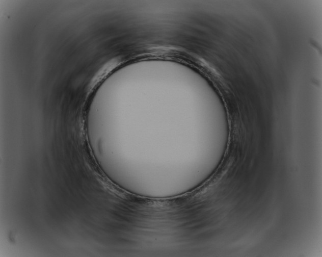 X0000093391362200710111340
