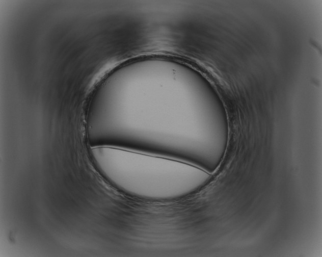 X0000093391363200710111340