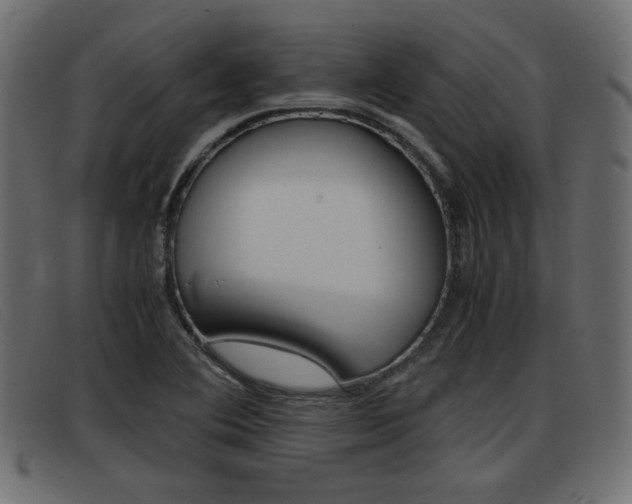 X0000093391364200710111340
