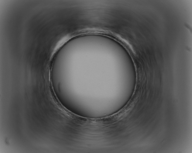 X0000093391365200710111340