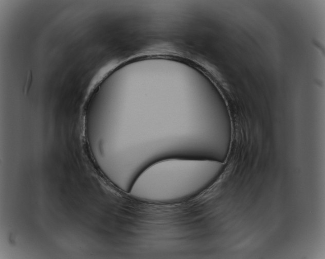 X0000093391366200710111340