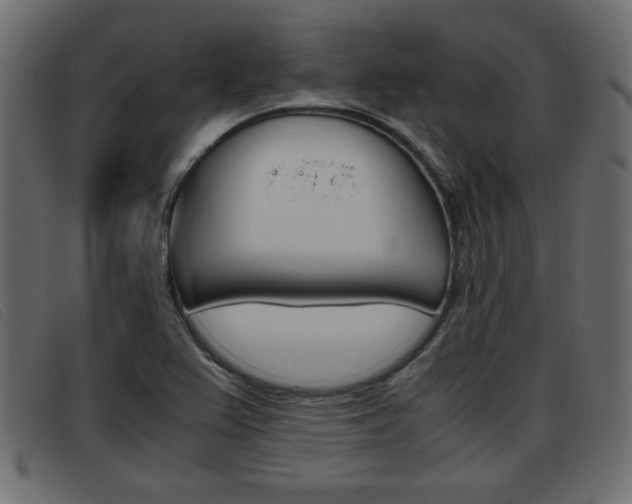X0000093391367200710111340