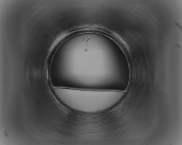 X0000093391368200710111340