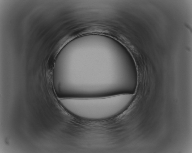 X0000093391369200710111340